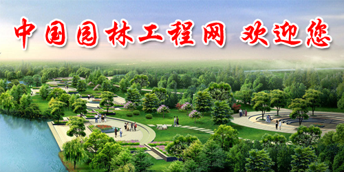 中国园林工程网：用心扮城市，园林绿化家温馨