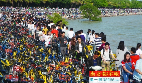 万辆共享单车挤爆深圳湾 共享单车碰到节假日怎么办？