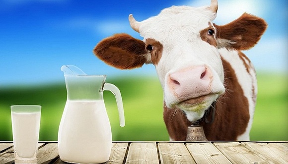 中国乳业市场集中度提升 伊利蒙牛两家总营收630亿