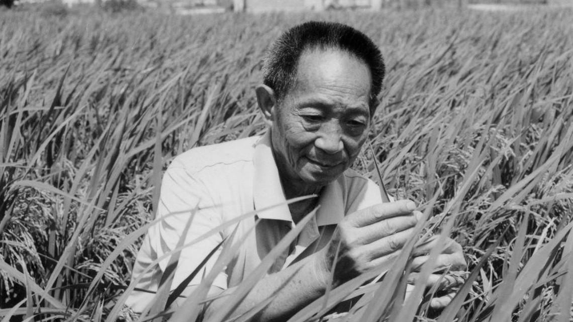 致哀！杂交水稻之父、共和国勋章获得者袁隆平逝世，享年91岁 