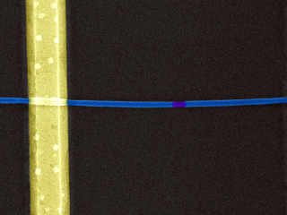 光子激发纳米线晶体管向光学计算迈出了一步